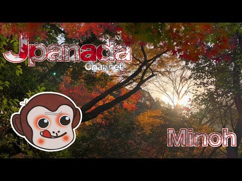 Minoh Autumn Leaves