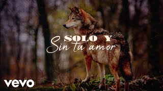 Los Temerarios - Solo Y Sin Su Amor (LETRA)
