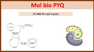 Download Lagu IIT JAM BT PYQ Molbio (last 5 years) Thumbnail