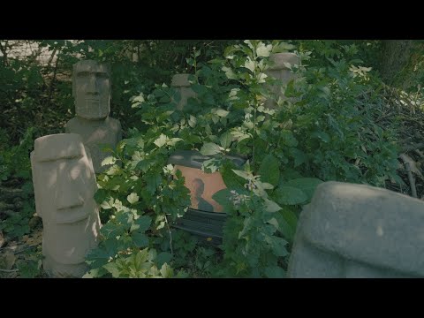 Protomartyr - The Aphorist (Official Video)