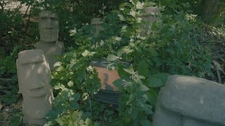 The Aphorist Music Video