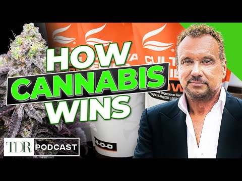Why Premium Cannabis Is the New Baseline | TDR Cannabis in 5