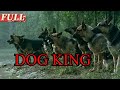 ENG SUB Dog King Drama War Movie China Movie Channel ENGLISH