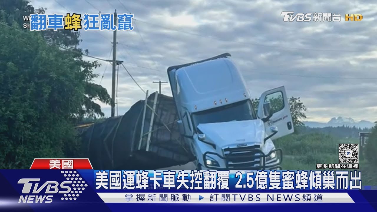 美國運蜂卡車失控翻覆　2.5億隻蜜蜂傾巢而出