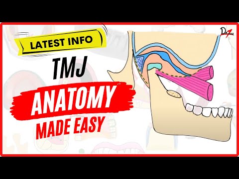 TMJ Anatomy: Easy Temporomandibular Joint Explanation