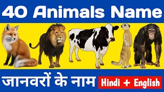 40 animals name, 40 जानवरों के नाम, animals name, wild animals name, domestic animals, pet animals