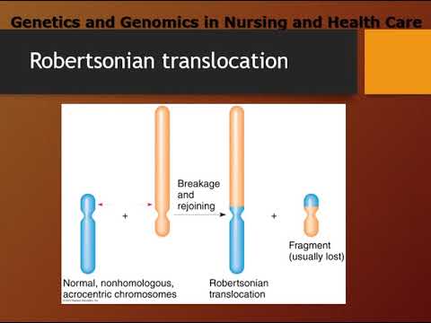 Chapter 6 Genetics Part One