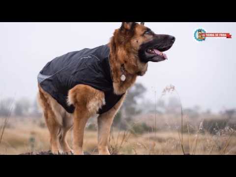 Chamarra Para Perros North Country Dog Coat De Kurgo