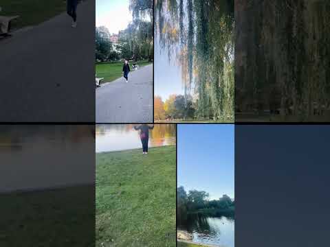 Nature heals everything