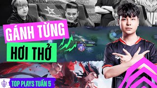 BEAR GÁNH TEAM TRONG TỪNG HƠI THỞ | TOP PLAYS TUẦN 5 | ĐTDV MÙA XUÂN 2024