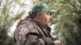 Lord God Bird (trailer)