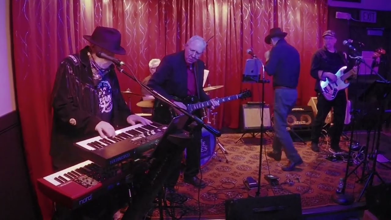 Promotional video thumbnail 1 for The Blue Skies Blues Band