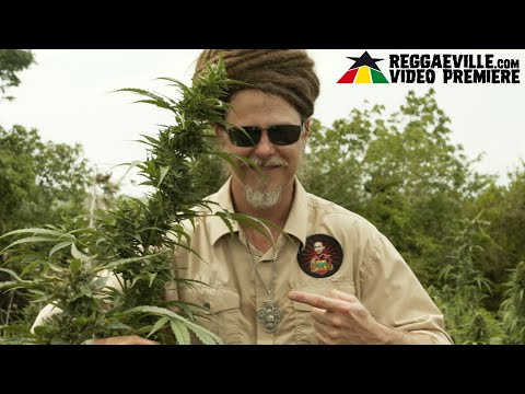 JahSon - Chalice Champion [Official Video 2022]