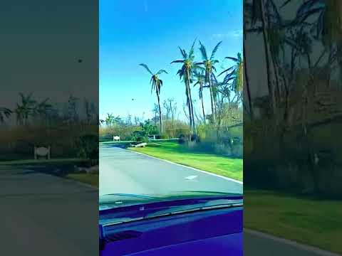 Hurricane IAN’s worst wind damage - We experience the drive through Placida, Florida