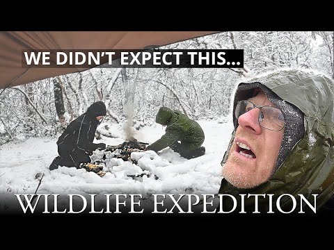 Surviving a Fall Snowstorm in Sarek National Park | Wildlife Expedition Turned Adventure