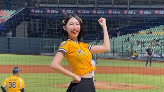 【Passion Sisters】#感動黃潮#儀諪#白白#盈瑩#台湾チアリーディングチーム#中華職棒#CPBL#洲際#20241007