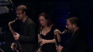 Lenine & Martin Fondse Orchestra - 13. Rosebud (O Verbo e a Verba) (DVD The Bridge)