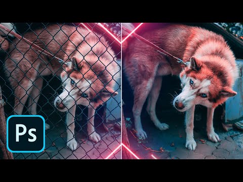 Курс Фотошоп с Нуля 1 Создание документа Основы интерфейса Навигация