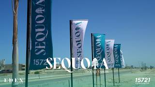 Sequoia North Coast: Confidence is Built... and a Future is Shaped.✨