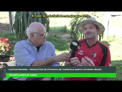 Pitahaya en el sur de Brasil Cleiton Rhoden de Tunápolis Santa Catarina tiene más de 100 variedades