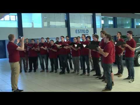 Coral Ensemble Vocapella Limburg