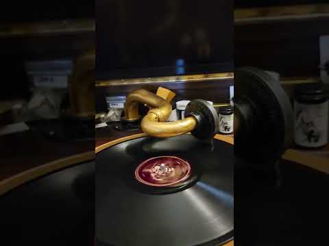 Chasing Shadows - Chick Bullock his Levee Loungers Oriole Records #3152 1935