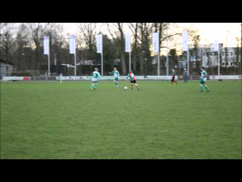 zuidvogels foto film