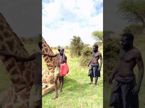 Tribals hunted a giraffe in the city #shortvideo