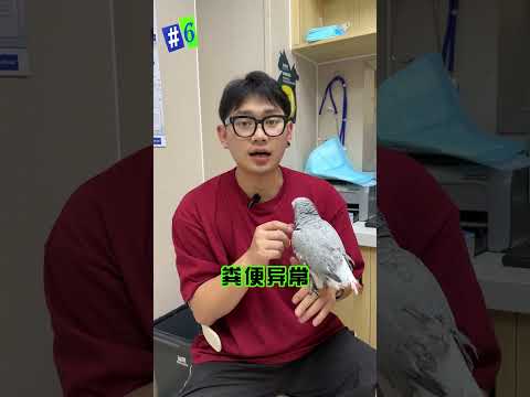 鹦鹉生病的常见表现，以及对应的疾病