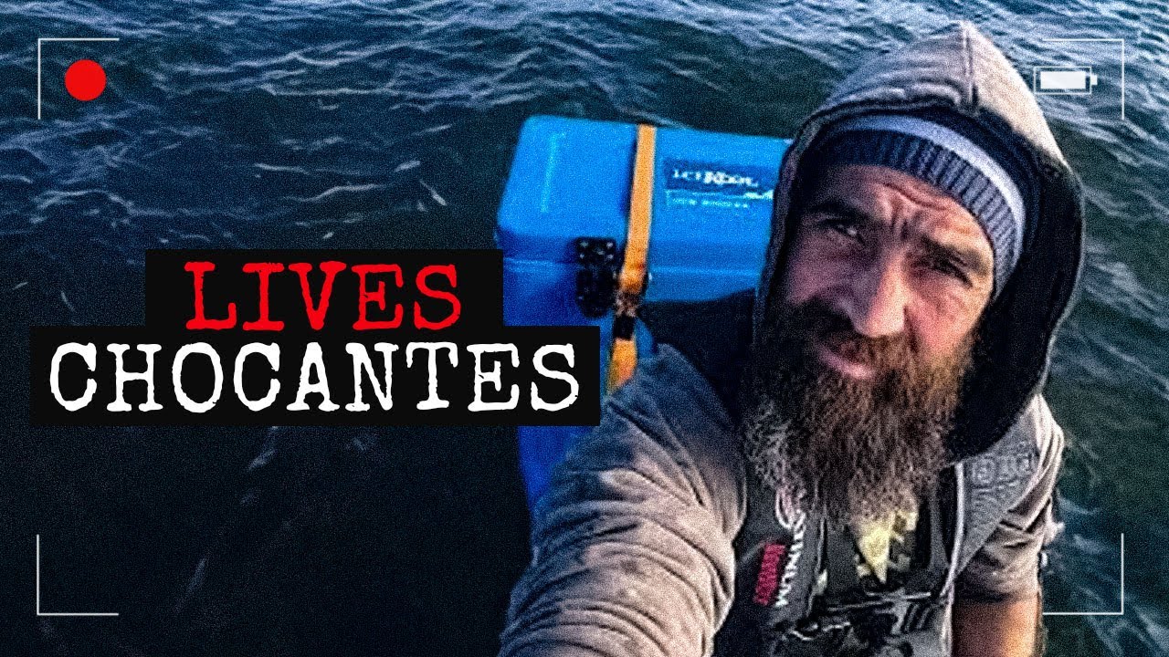 Remando Contra a Maré - 5 Lives Finais