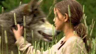 Wolf Summer Trailer