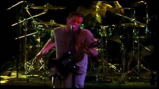 JIMMIES CHICKEN SHACK W/ WILL DORSEY JR. & CHRIS COSGROVE-SPIDERWEB