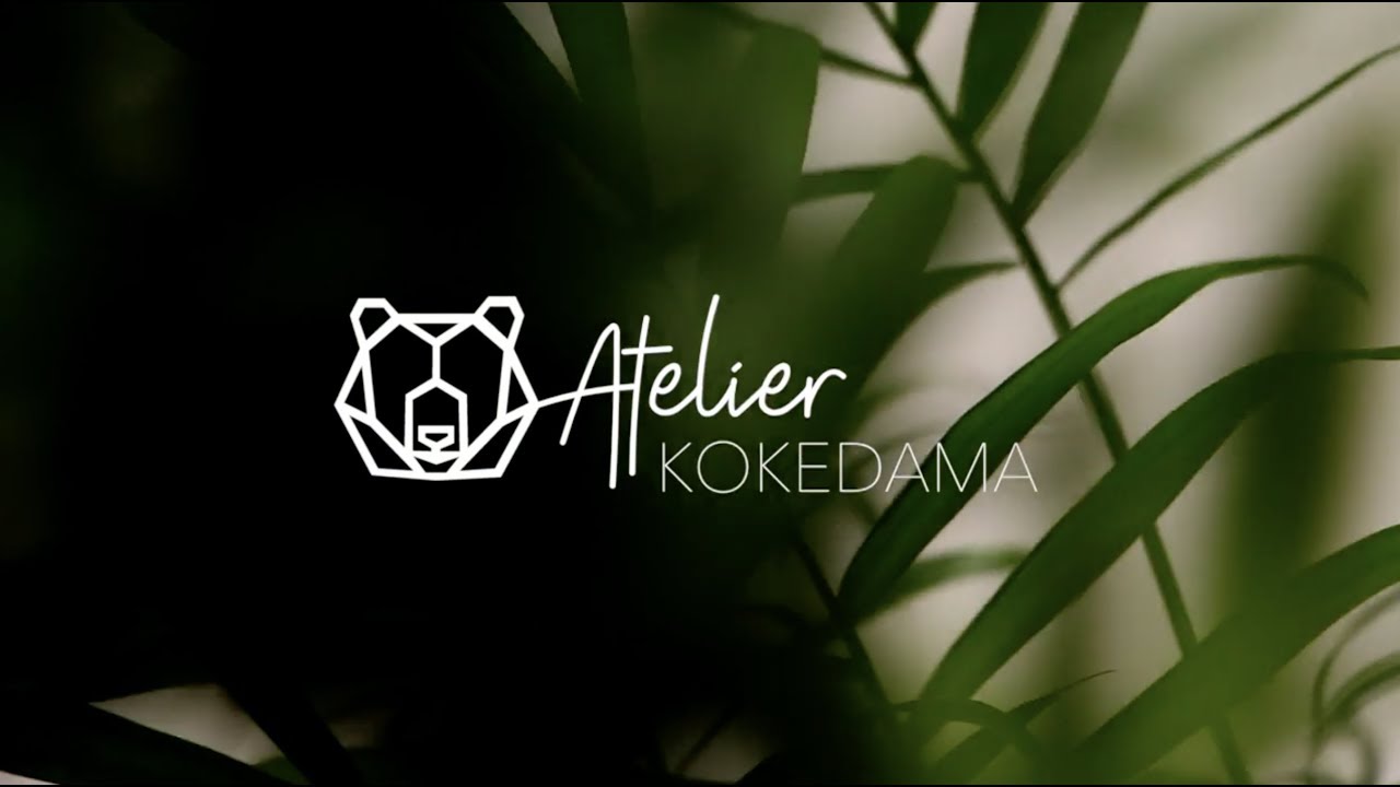 Créez un kokedama avec Lina - Vidéo