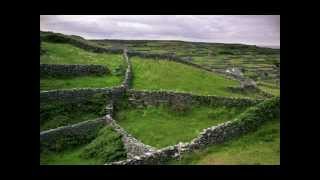 Beer Belly - King Of The Fairies - Ireland landscape - Irish Traditional Music