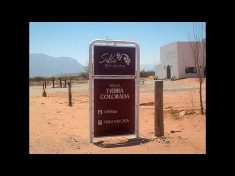 Pedro Aznar Con Suna Rocha Y Lito Vitale - La Pomeña