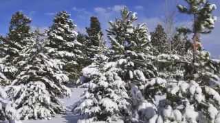 Winter in Heber Overgaard