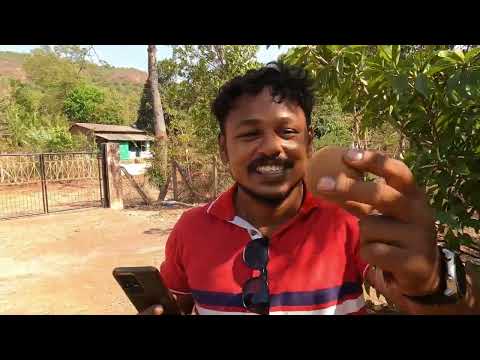 shrivardhan my fame house full enjoy🏡 #vlog #seafood #fishing #shrivardhan #myfamehouse #foodvlog 🥭🫐