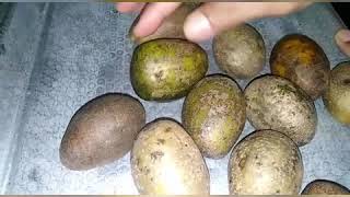 Download lagu JERUK KEDONDONG mp3