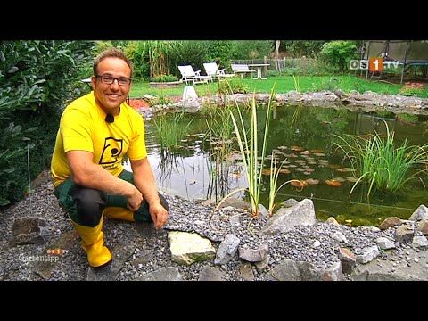 Die richtige Teichpflege - Gartentipps mit Nils Grage