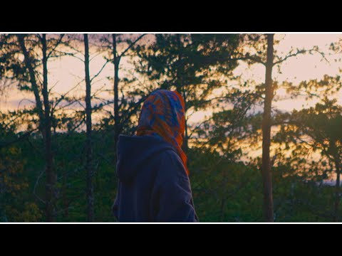 TYL3R DAVIS - A WARRIOR'S HEART (Official Music Video)