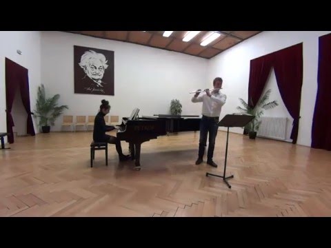 W. A. Mozart - Flute concert D major (KV314) - I. Allegro aperto (Tim Kadlec)