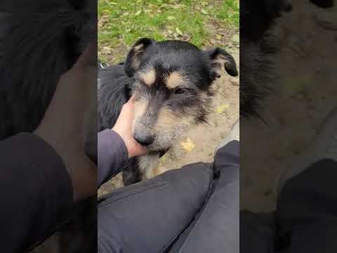 💖💖 MIRUNA 💖💖