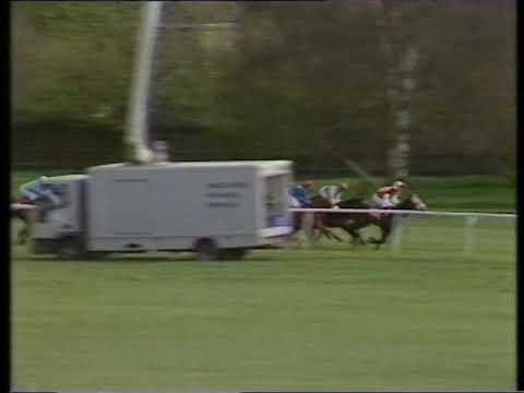 1993 Bonusprint Masaka Conditions Stakes
