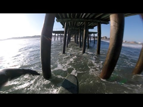 SHOOTING THE ENTIRE LENGTH of the PIER