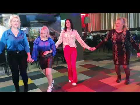 🔴 Kolo za sve šofere od Alena - Hotel Heco Plus Sarajevo - Bosanski teferič