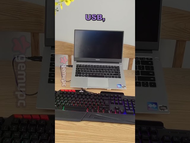 Vídeo relacionado con Rii Teclado Gaming Mecánico, 22 Modos de retroiluminación, Interruptores Azules, Anti-ghosting, QWERTY Español (TKL (88 Teclas))