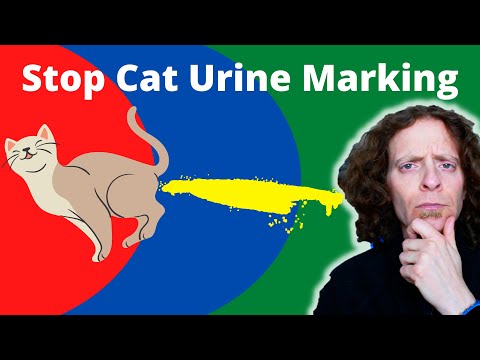 How To Stop Your Cat From Urine Marking | Veterinarian Explains