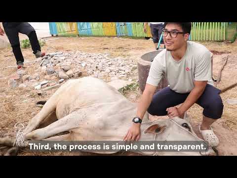 Qurban 2025 — Highlights