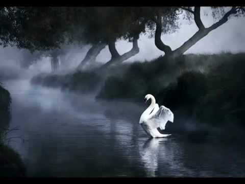 Imre Peemot - Goodbye old paradigm