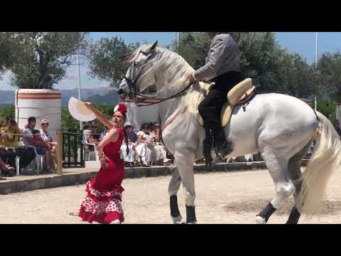 ESPECTACULO CABALLOS ESPAÑOLES